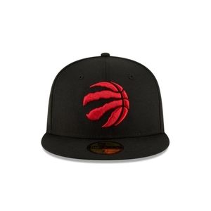Toronto Raptors snapback hat